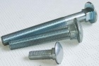 Carriage Bolt